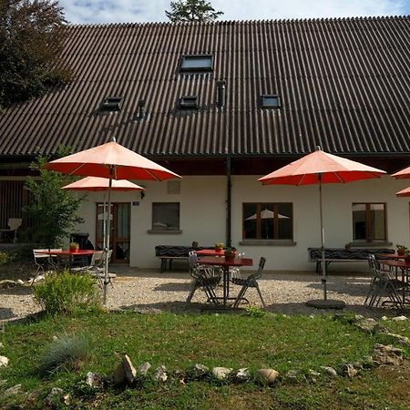 Delemont Youth Hostel Luaran gambar
